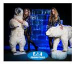 top winterwonderland aankleding ijstroon eindhoven