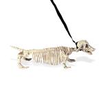 Halloween Skelet Tekkel Met Riem