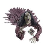 Halloween Pop Heks Met Geluid En Licht