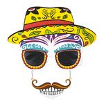 Dia De Los Muertos Bril Gekleurd
