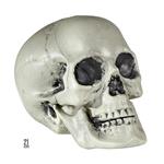 Halloween Schedel 21cm