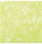 Lime Groene Lint 10m