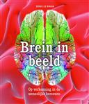 Wetenschappelijke bibliotheek 121: Brein in beeld / Wetenschappelijke bibliotheek / 121