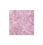 Roze Tafelloper 10m