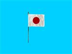 Tafelvlag Japan + kunststof houder