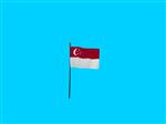 Tafelvlag Singapore + kunststof houder