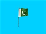 Tafelvlag Pakistan + kunststof houder