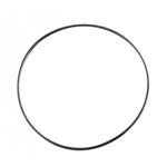 O-ring