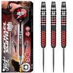 Michael Smith Defiant 90% Dartpijlen 22-23-24-25 Gram