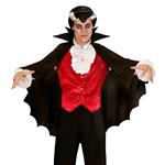 Halloween Cape Zwart Kraag