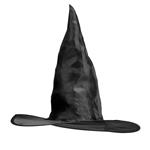 Halloween Hoed Zwart Heks