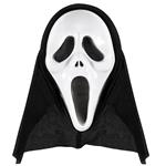 Halloween Masker Zwart Wit Spook