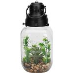 Grote fles met kunstplanten en verlichting