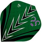 Bull's B-Star Brian Raman Flights No2