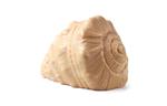 Speelschelp