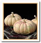 Autumn Crown F1 muskaatpompoen zaden