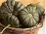 Thai Large Pumpkin Moschata Pompoen zaden