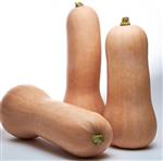 Titan F1 Butternut Pompoen 50 zaden