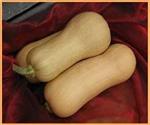 Butternut Hunter F1 flespompoen 50 zaden