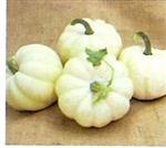 White Cloud F1 Acorn pompoen zaden