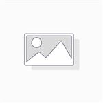 Hermes F1 PMT halloweenpompoen 1000 zaden
