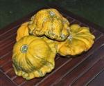 Gelber Englischer Custard pompoen 50 zaden
