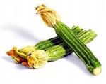 Costata Romanesco Courgette