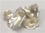 Golden Mushroom Platinum Paddenstoel +/- 15 stuks kleinverpakking