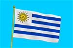 Vlag Uruguay 300x450 cm