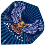 Shot Birds Of Prey Kestrel Flights No2