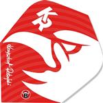 Bull's Krzysztof Ratajski Flights Rood No6