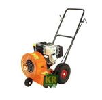 Eliet BL #90978