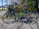 licht trappend Gazelle Dames–, tienerfiets