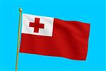 Vlag Tonga 300x450 cm