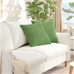 vidaXL Sofa Kussens 2 stuks Lichtgroen 45 x 45 cm Cordstof