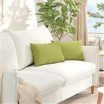 vidaXL Sofa Kussens 2 stuks Lichtgroen 50 x 30 cm Stof