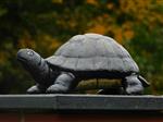 Beeld Schildpad - Gietijzer - Decoratief beeld