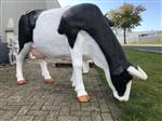Mooie sculptuur van een grazende koe, prachtig in kleur gezet, echte eye-catcher!!