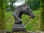 Beeld Paardenhoofd met Teugels - Polystone