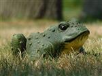 Een leuke en decoratieve kikker, gemaakt van polystein