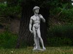 Beeld David - 57 cm - Vol Steen