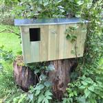 Prachtige nestkast voor vogels en eekhoorns