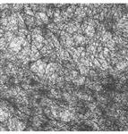 Zwarte Lint Romance 10m