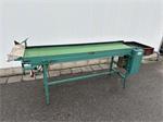 Schoemans transportband voor fruit 210 x 50 cm