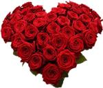 Woon je in Vianen of in de regio Vianen?