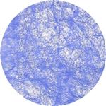 Blauwe Placemats Rond 34cm