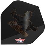 Bull's Player 100 Dirk van Duijvenbode 90 E2 No.2 Flights