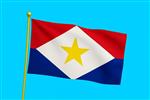 Vlag Saba 300x450 cm