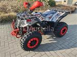 AII Commander 200CC Quad