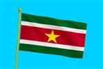 Vlag Suriname 300x450 cm